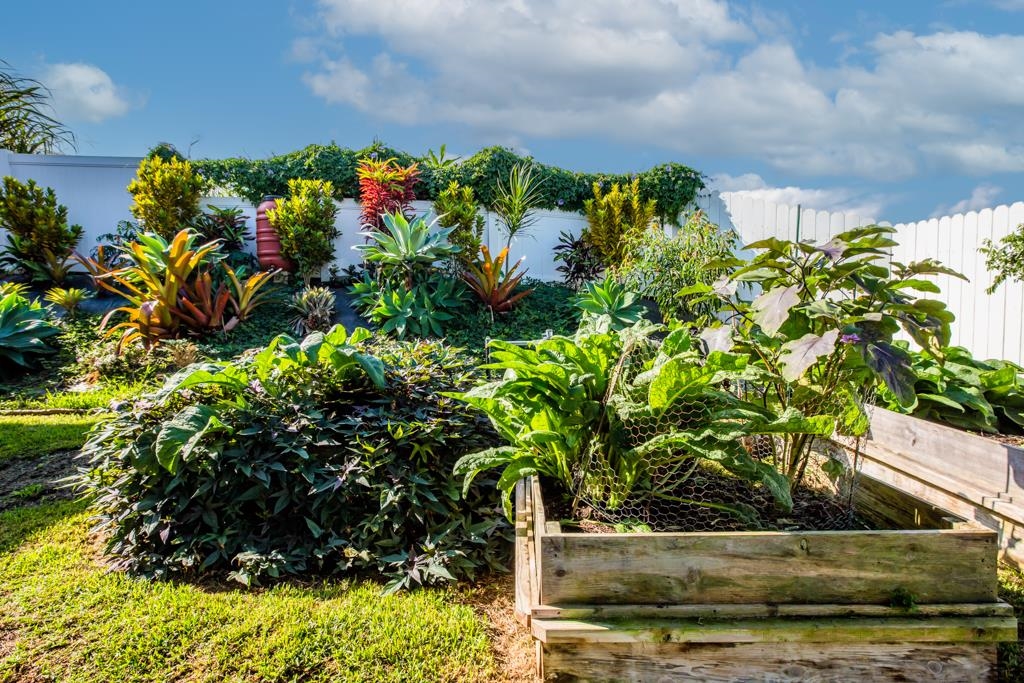 130 North Honokala Road Haiku, HI 96708 - Photo 10 of 30