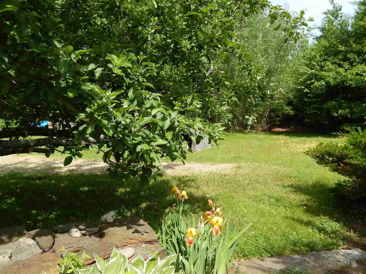 164 Mousam Road Strafford, NH 03884 - Photo 9 of 40