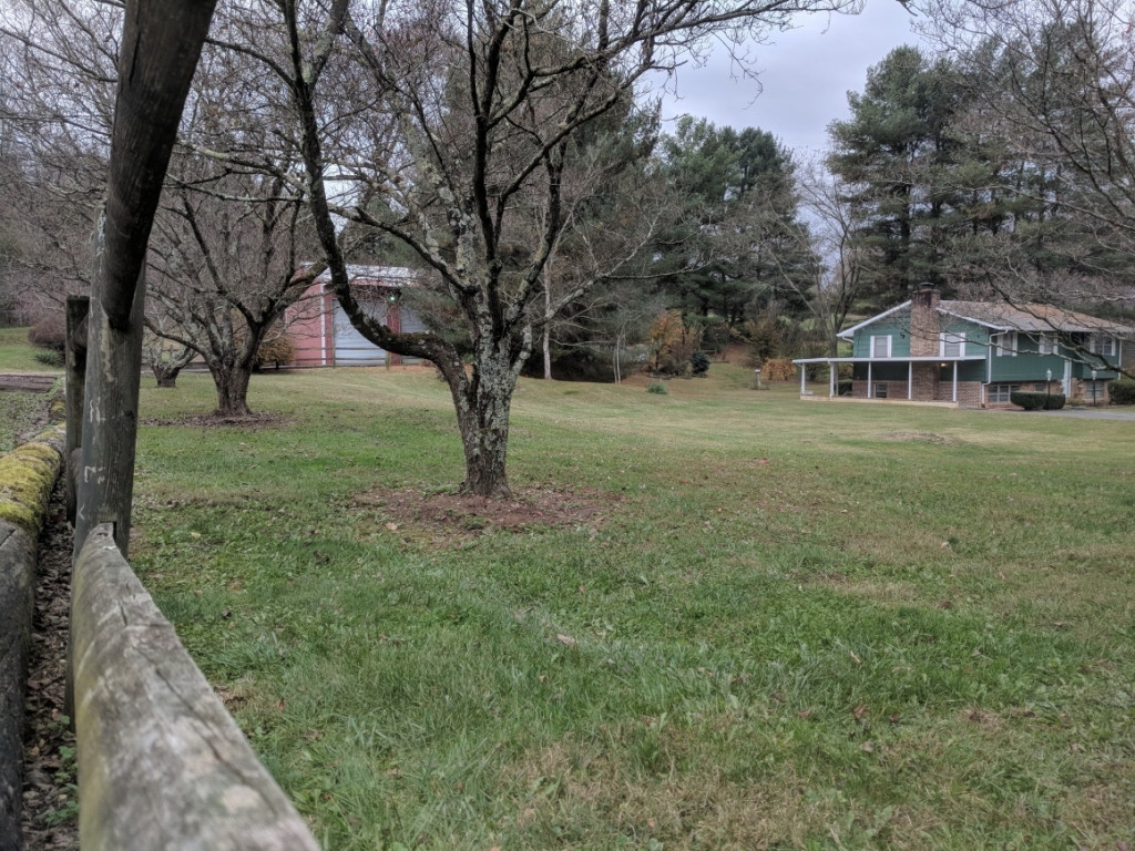 568 Silver Grove Road Bluff City, TN 37618 - Photo 23 of 28 side lot from garage driveway