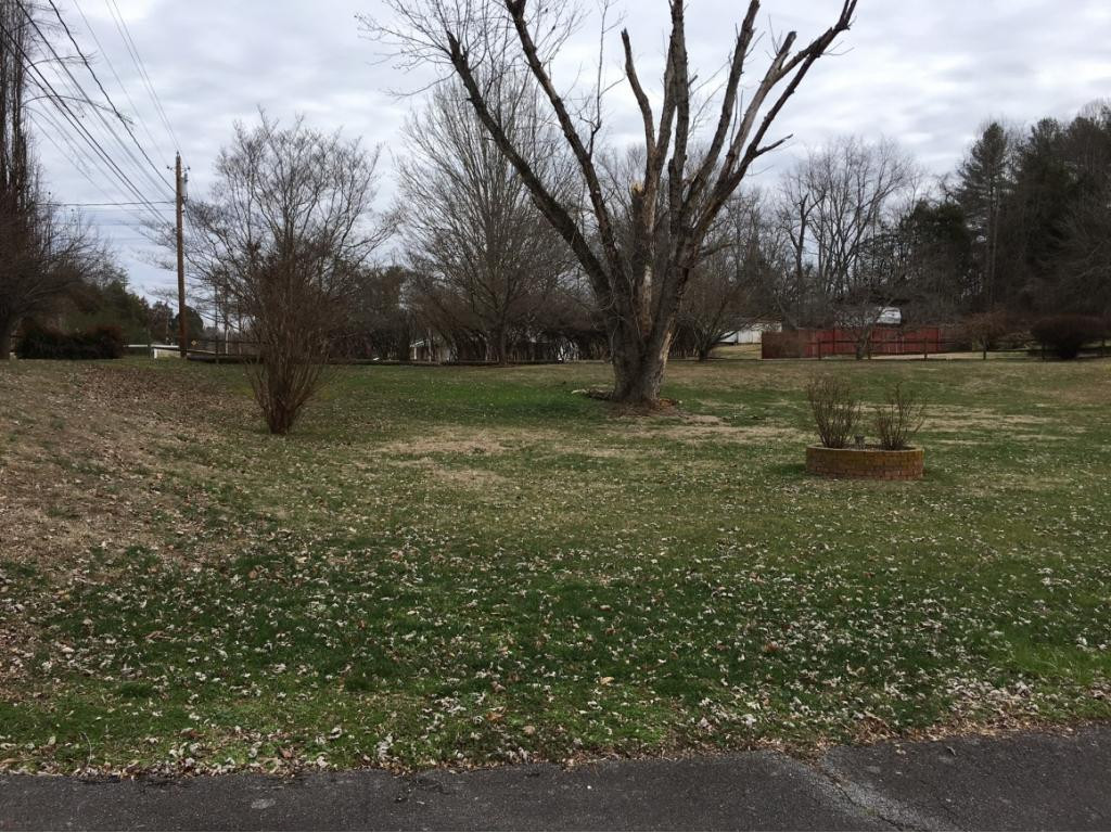 568 Silver Grove Road Bluff City, TN 37618 - Photo 27 of 28 extra lots