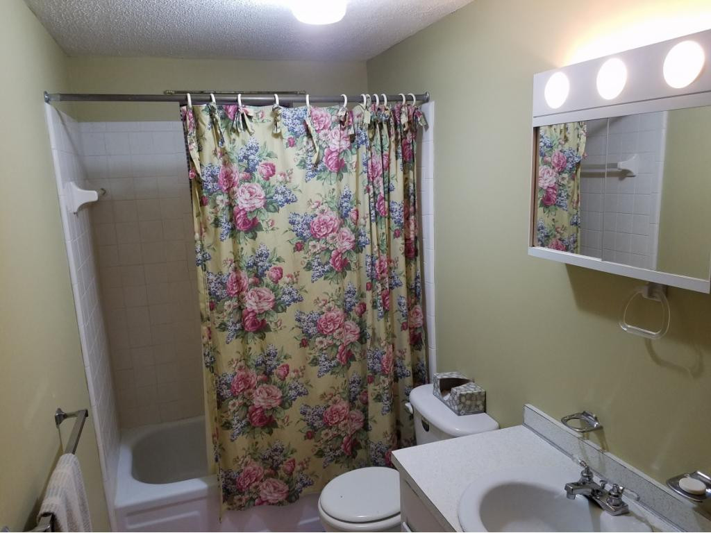 568 Silver Grove Road Bluff City, TN 37618 - Photo 5 of 28 Lower level Hall Full BAvinyl