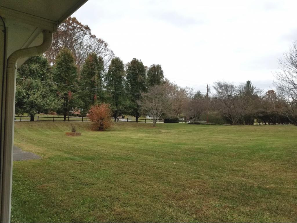 568 Silver Grove Road Bluff City, TN 37618 - Photo 10 of 28 Beautiful level lots mtn view