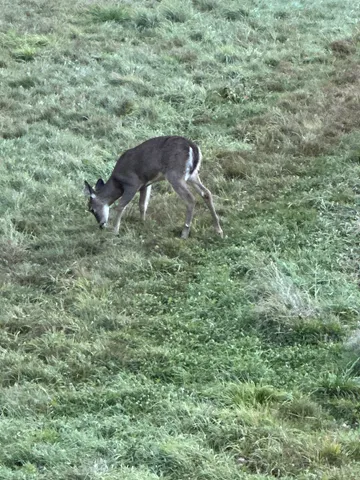 $175,000 | 201 Pope Road, Lowell, VT 05847