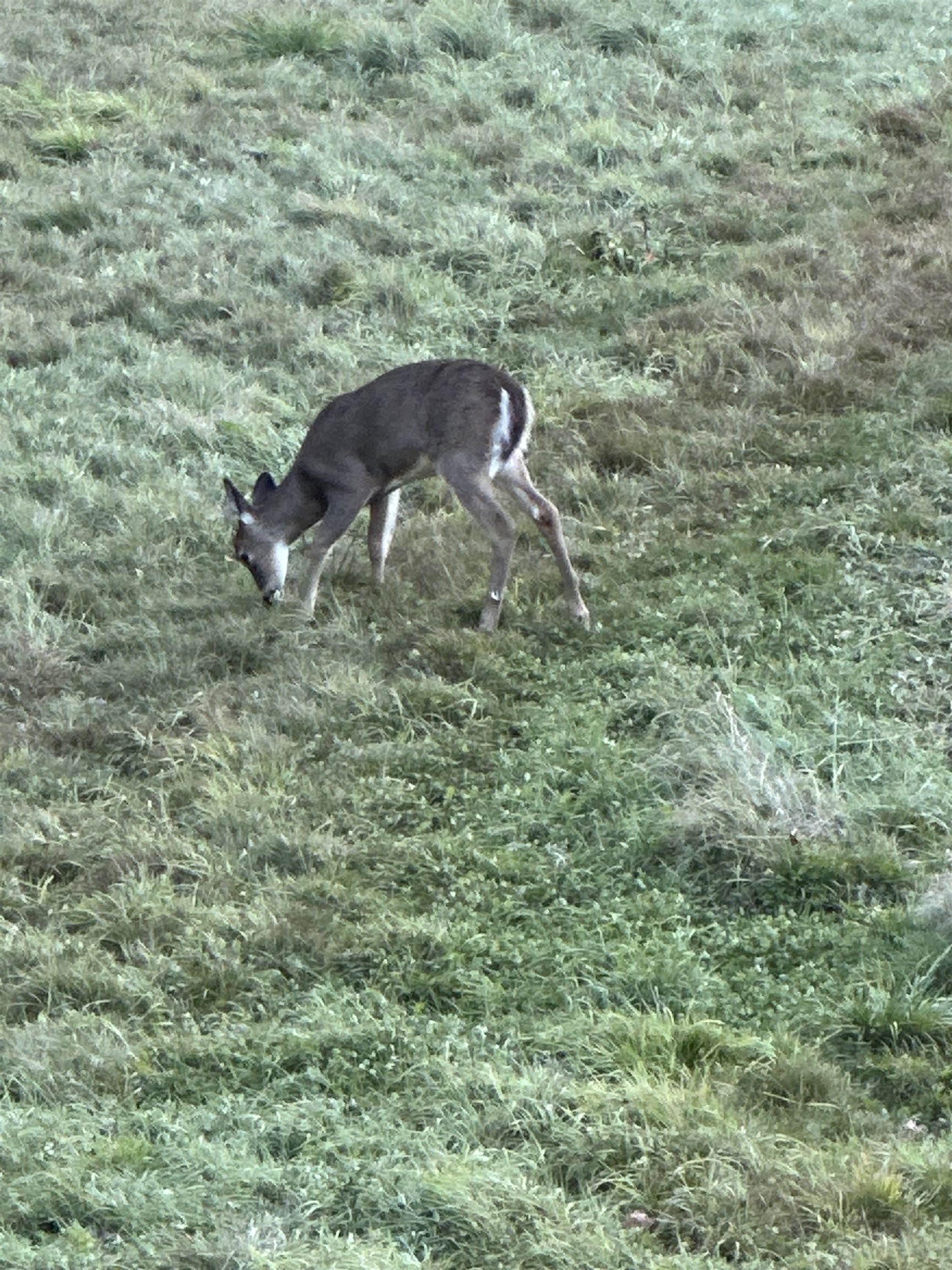 201 Pope Road Lowell, VT 05847 - Photo 55 of 56