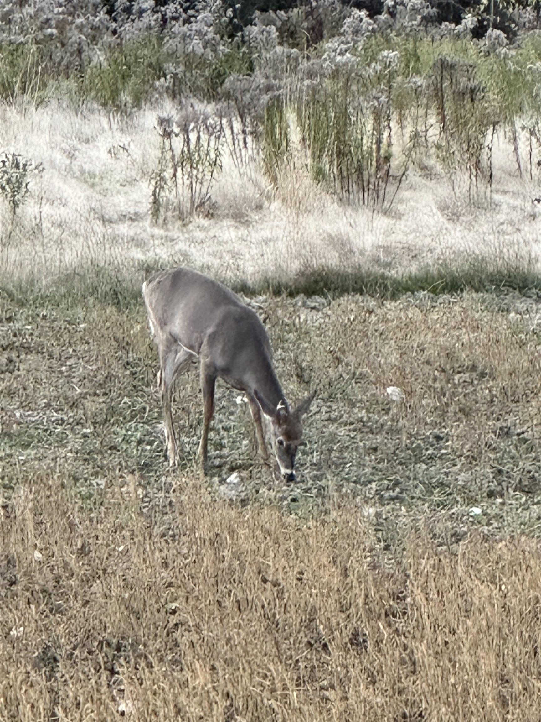 201 Pope Road Lowell, VT 05847 - Photo 56 of 56
