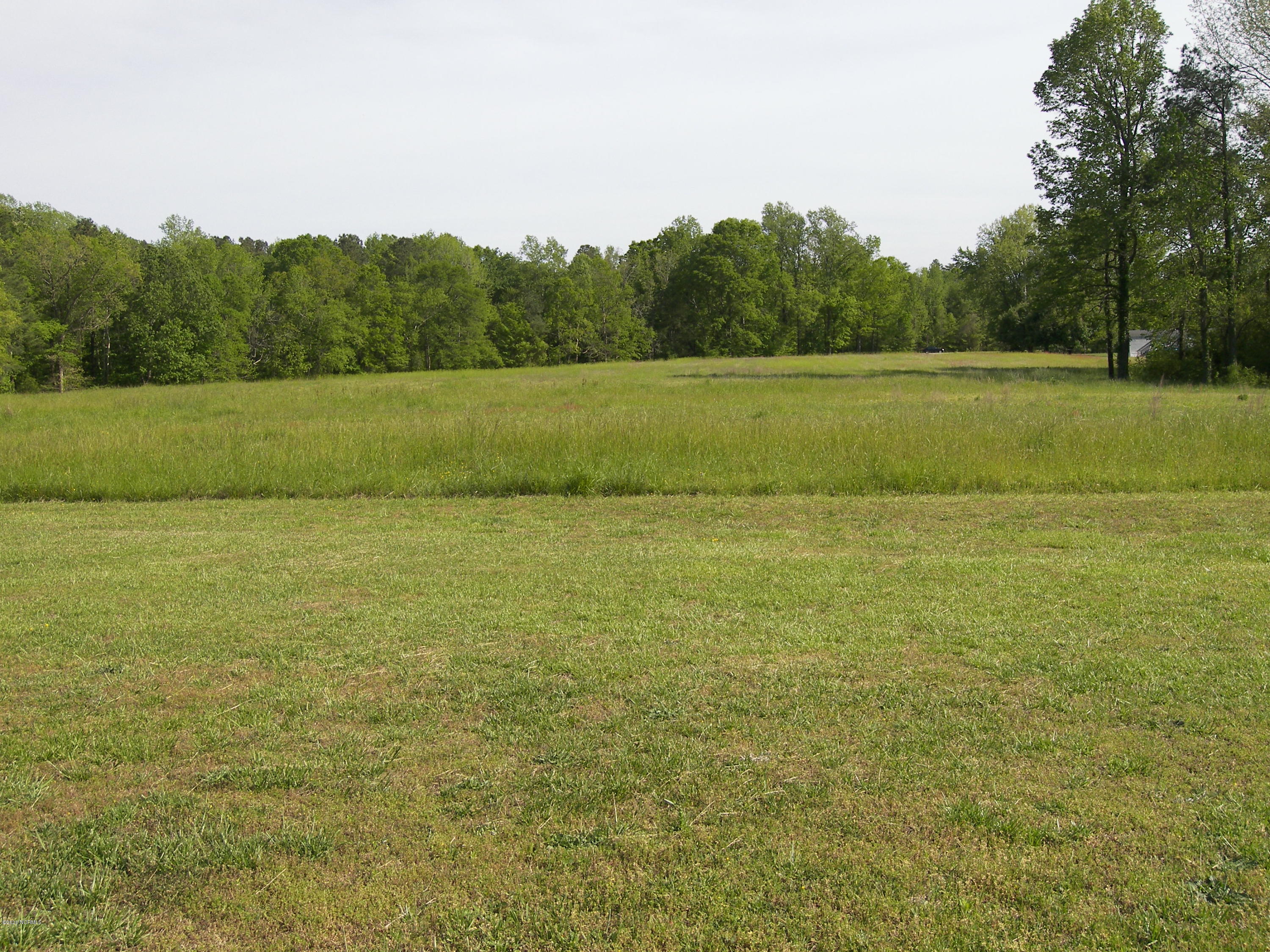 10778 Us 64a Spring Spring Hope, NC 27882 - Photo 4 of 18 100_7299