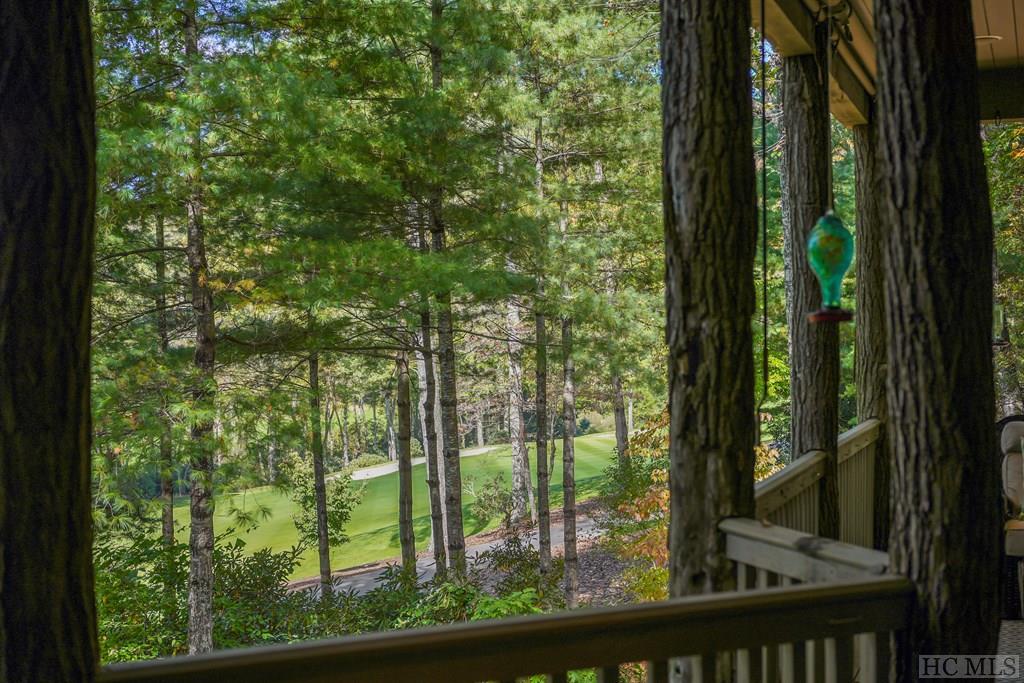 103 Boulderdash Road Cashiers, NC 28717 - Photo 41 of 52 Gallery Image 41