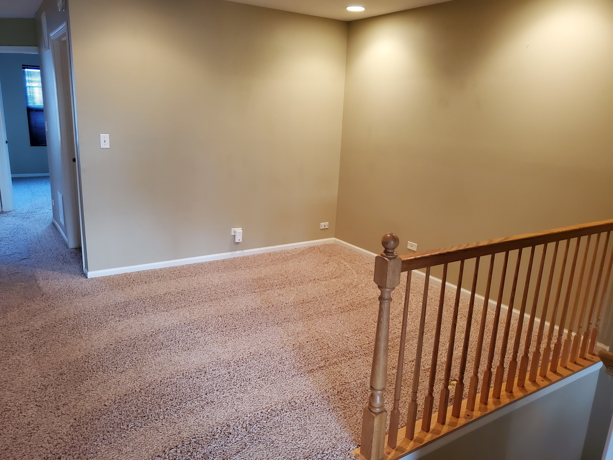 207 Springbrook Trail South Oswego, IL 60543 - Photo 4 of 14
