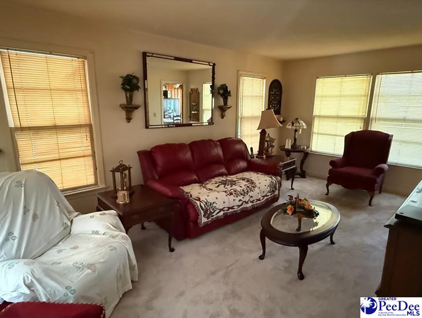 2653 Patty Road Cades, SC 29518 - Photo 15 of 42 Gallery Image 15
