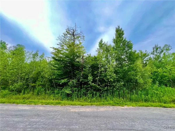 $52,300 | Lot 15 Forest Ridge Drive, Rome, NY 13440