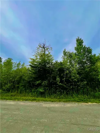 $52,300 | Lot 15 Forest Ridge Drive, Rome, NY 13440