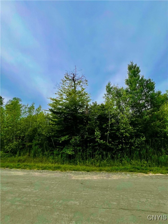 Lot 15 Forest Ridge Drive Rome, NY 13440 - Photo 2 of 6