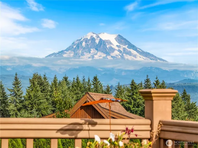 a view of a yard in front of a house
