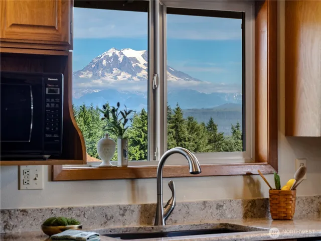a view of a sink a mirror and a potted plant on a granite counter top