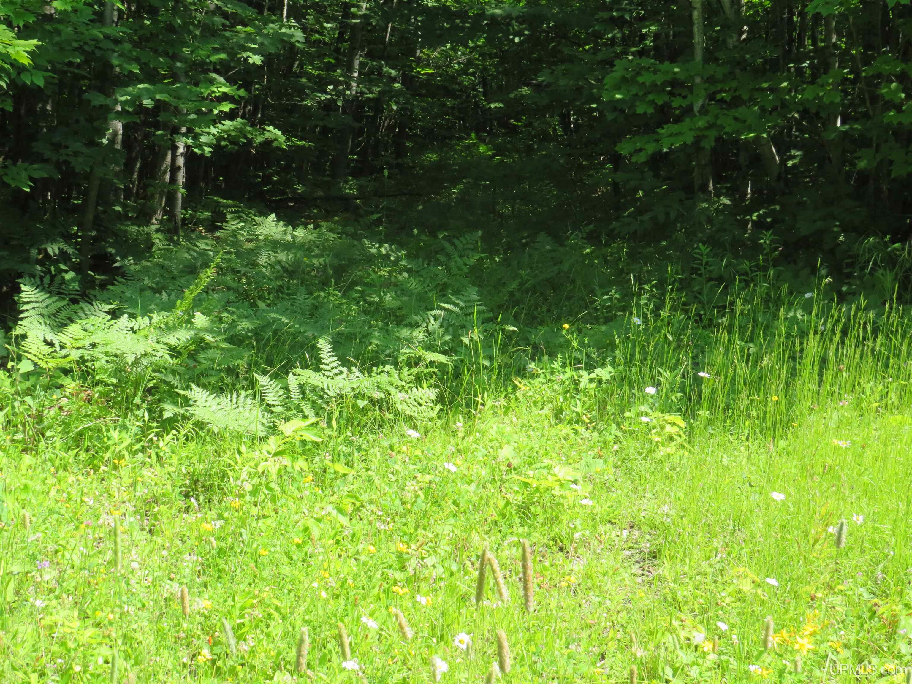 Tbd Curlew Road Ontonagon, MI 49953 - Photo 33 of 36