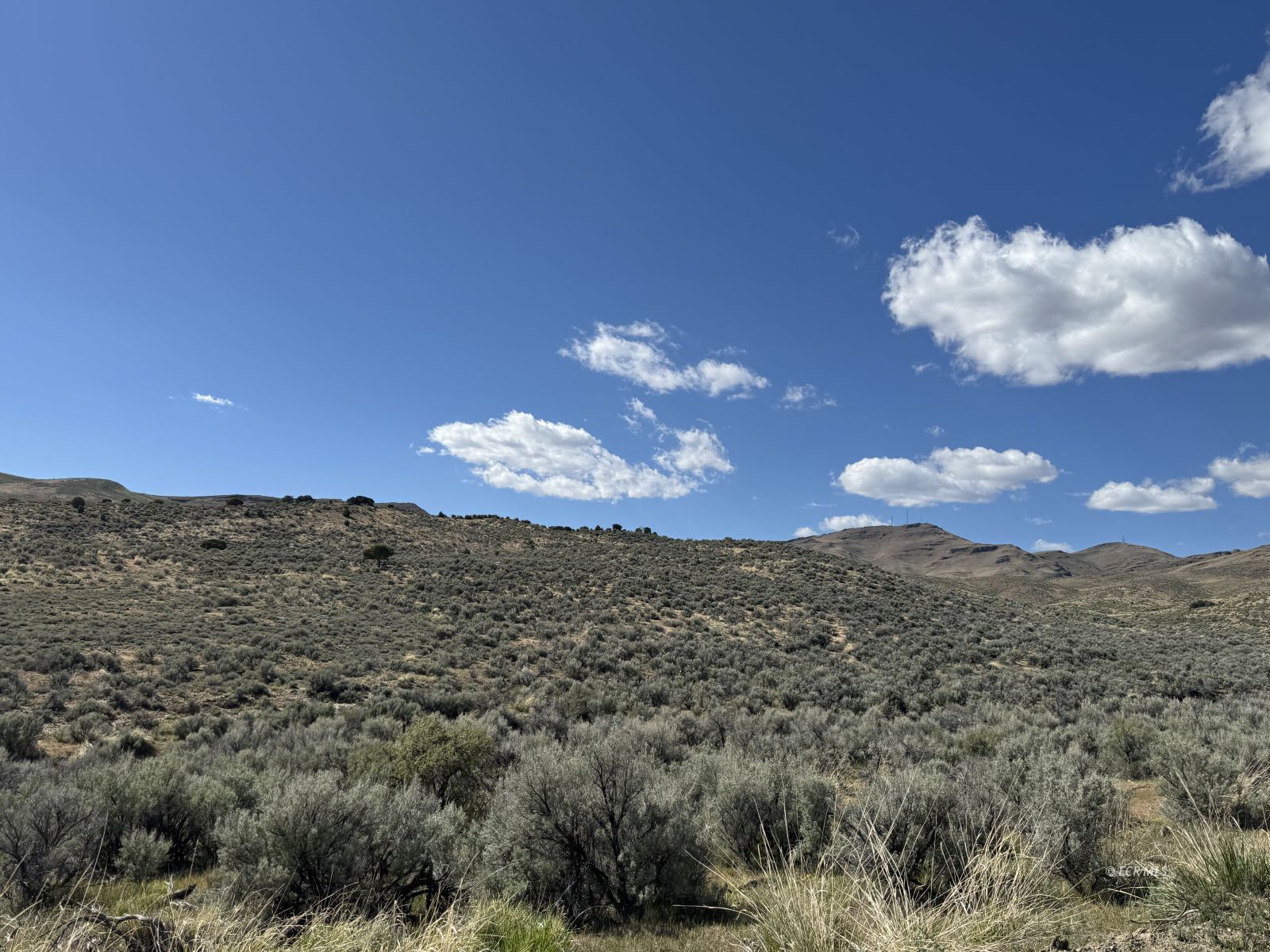 Snobowl Road Elko, NV 89801 - Photo 7 of 20