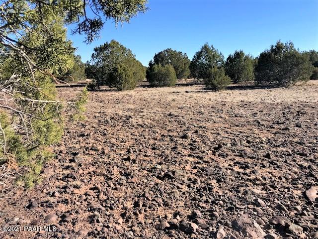 181 Broken Wheel Road Ash Fork, AZ 86320 - Photo 18 of 23 IMG_1029