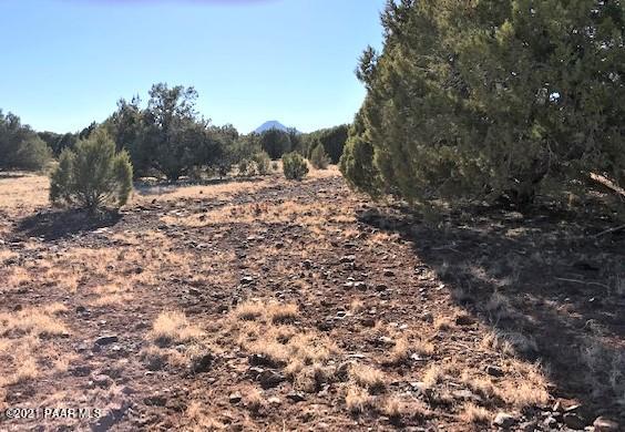 181 Broken Wheel Road Ash Fork, AZ 86320 - Photo 20 of 23 IMG_1031
