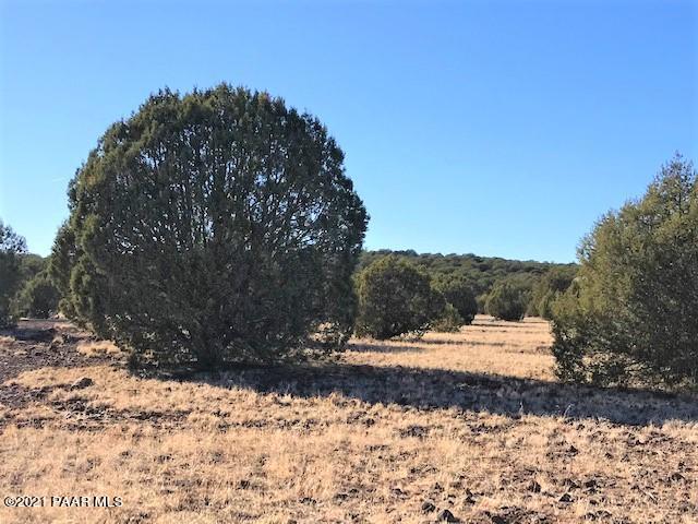 181 Broken Wheel Road Ash Fork, AZ 86320 - Photo 21 of 23 IMG_1032