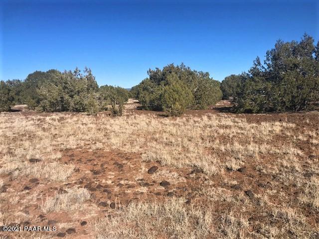 181 Broken Wheel Road Ash Fork, AZ 86320 - Photo 3 of 23 IMG_1013