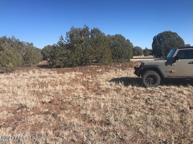 181 Broken Wheel Road Ash Fork, AZ 86320 - Photo 4 of 23 IMG_1014