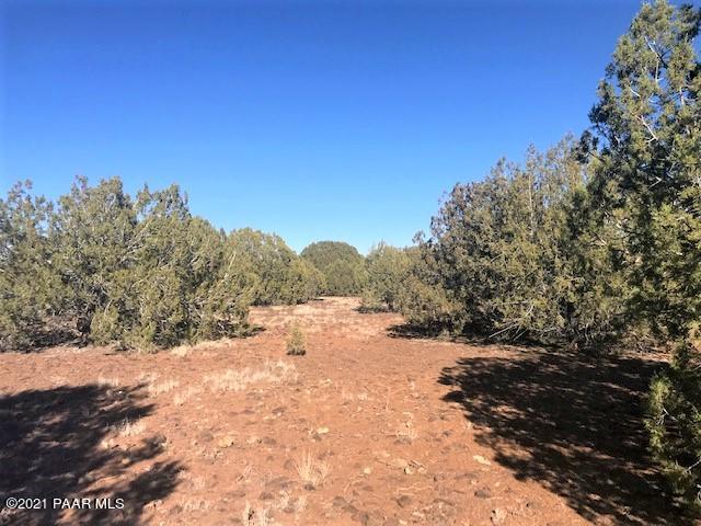 181 Broken Wheel Road Ash Fork, AZ 86320 - Photo 5 of 23 IMG_1016