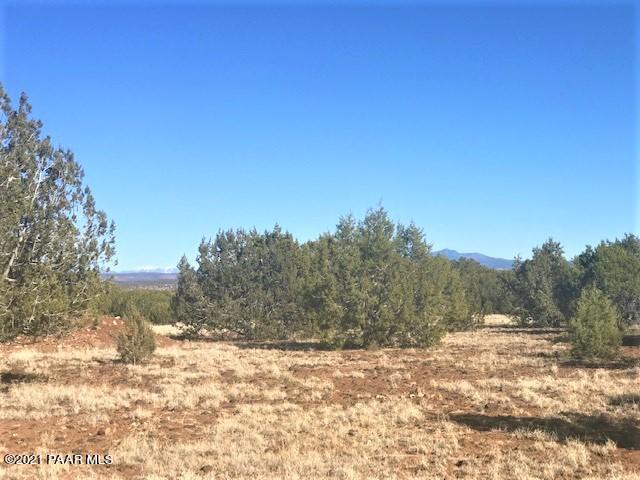 181 Broken Wheel Road Ash Fork, AZ 86320 - Photo 9 of 23 IMG_1020