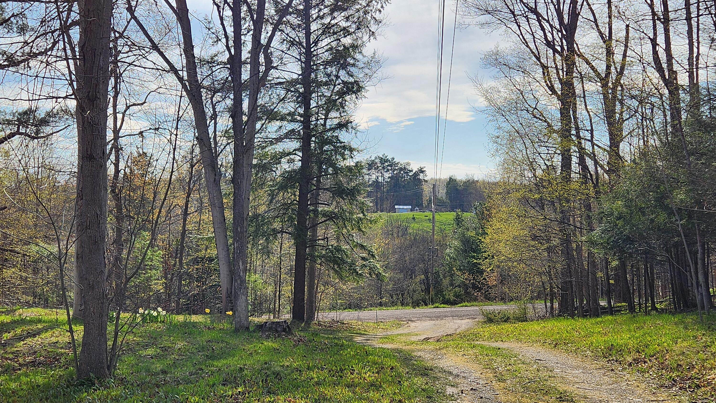 3981 East West Resort Road Alanson, MI 49706 - Photo 50 of 50 Driveway to Resort Rd.