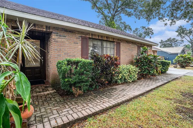 a view of a backyard with plants