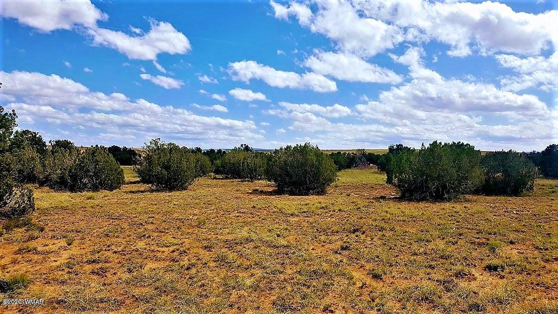 3822 Freeman Holw Road Taylor, AZ 85939 - Photo 1 of 1