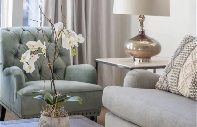 a living room with furniture