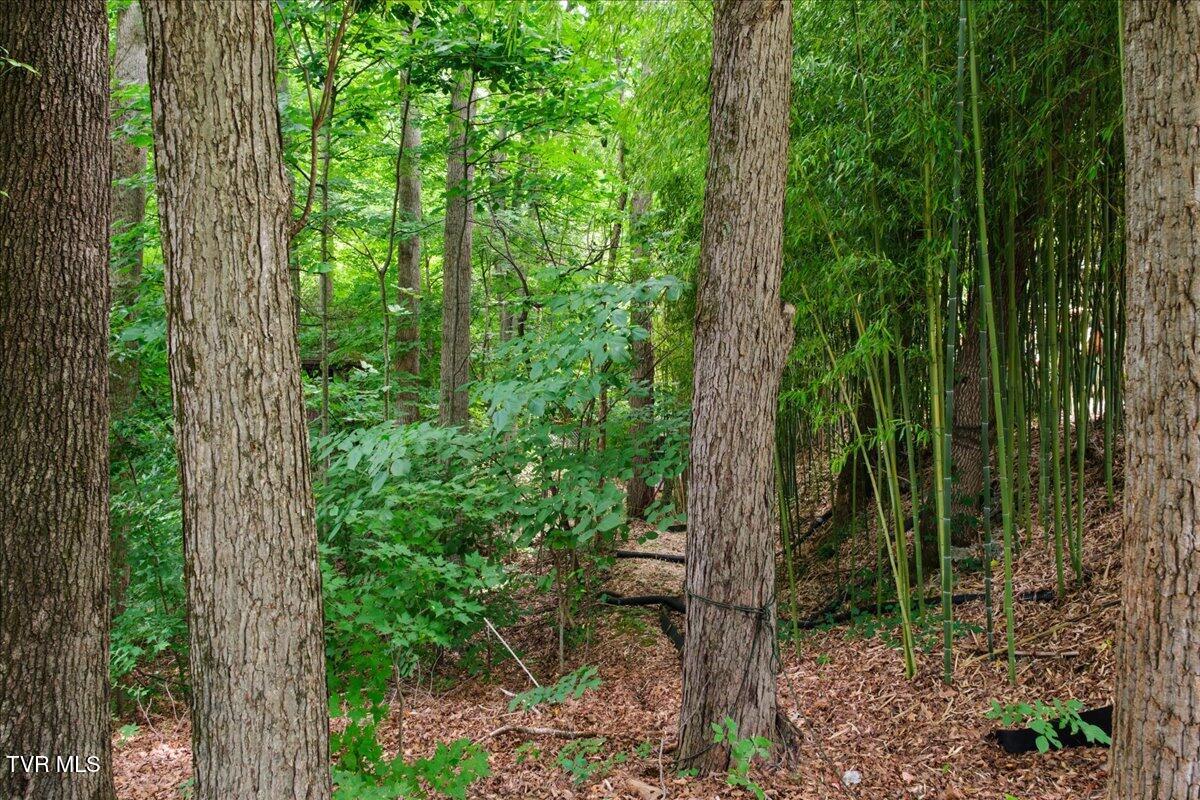 2031 Ridgefield Road Johnson City, TN 37601 - Photo 123 of 162 110-WBP-Ridgefield-Rd-110