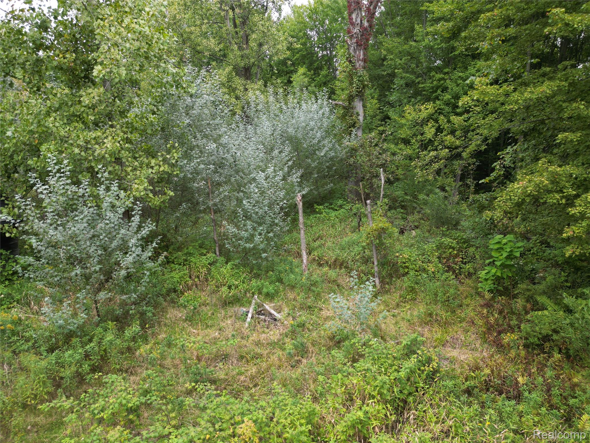 3782 Hanes Road Vassar, MI 48768 - Photo 9 of 16 DJI_0434.JPG