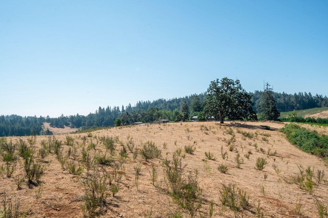 4002 Vitae Springs Road South Salem, OR 97306 - Photo 45 of 53 4002-Vitae-Springs-Rd-S-45