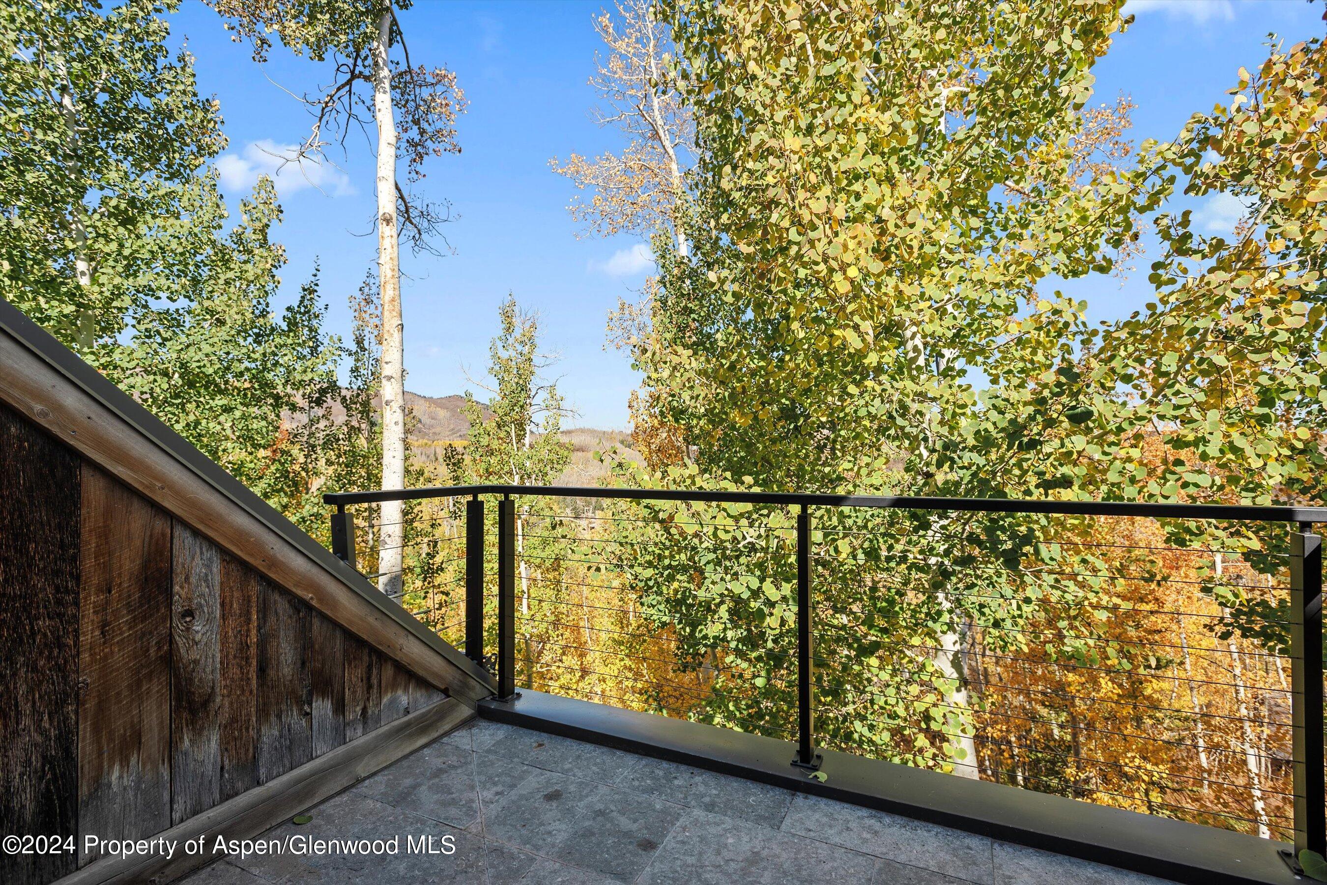 234 Bridge Lane Snowmass Village, CO 81615 - Photo 18 of 46