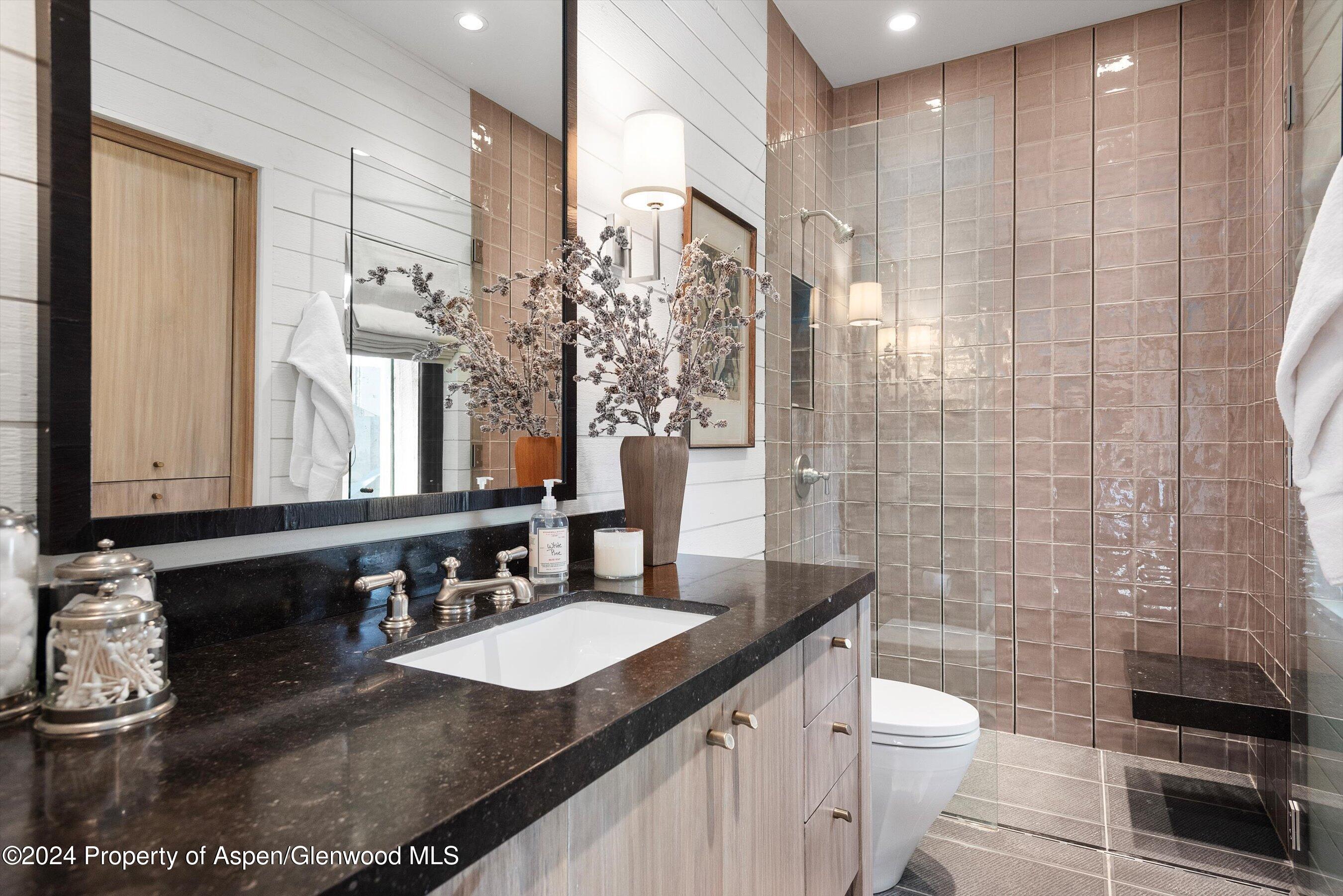 234 Bridge Lane Snowmass Village, CO 81615 - Photo 20 of 46 a bathroom with a granite countertop sink a toilet a mirror and shower