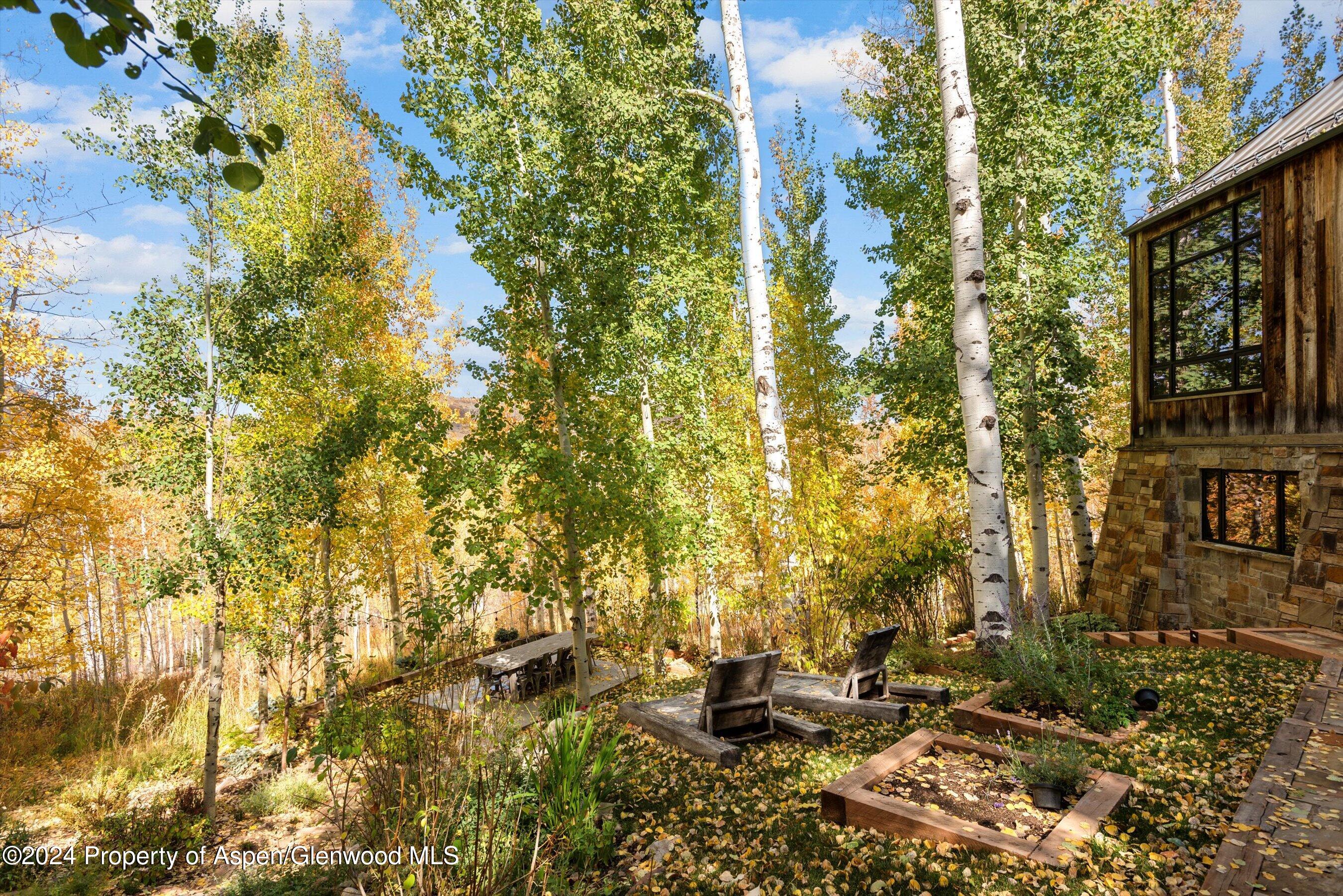 234 Bridge Lane Snowmass Village, CO 81615 - Photo 37 of 46 a backyard of a house with lots of green space