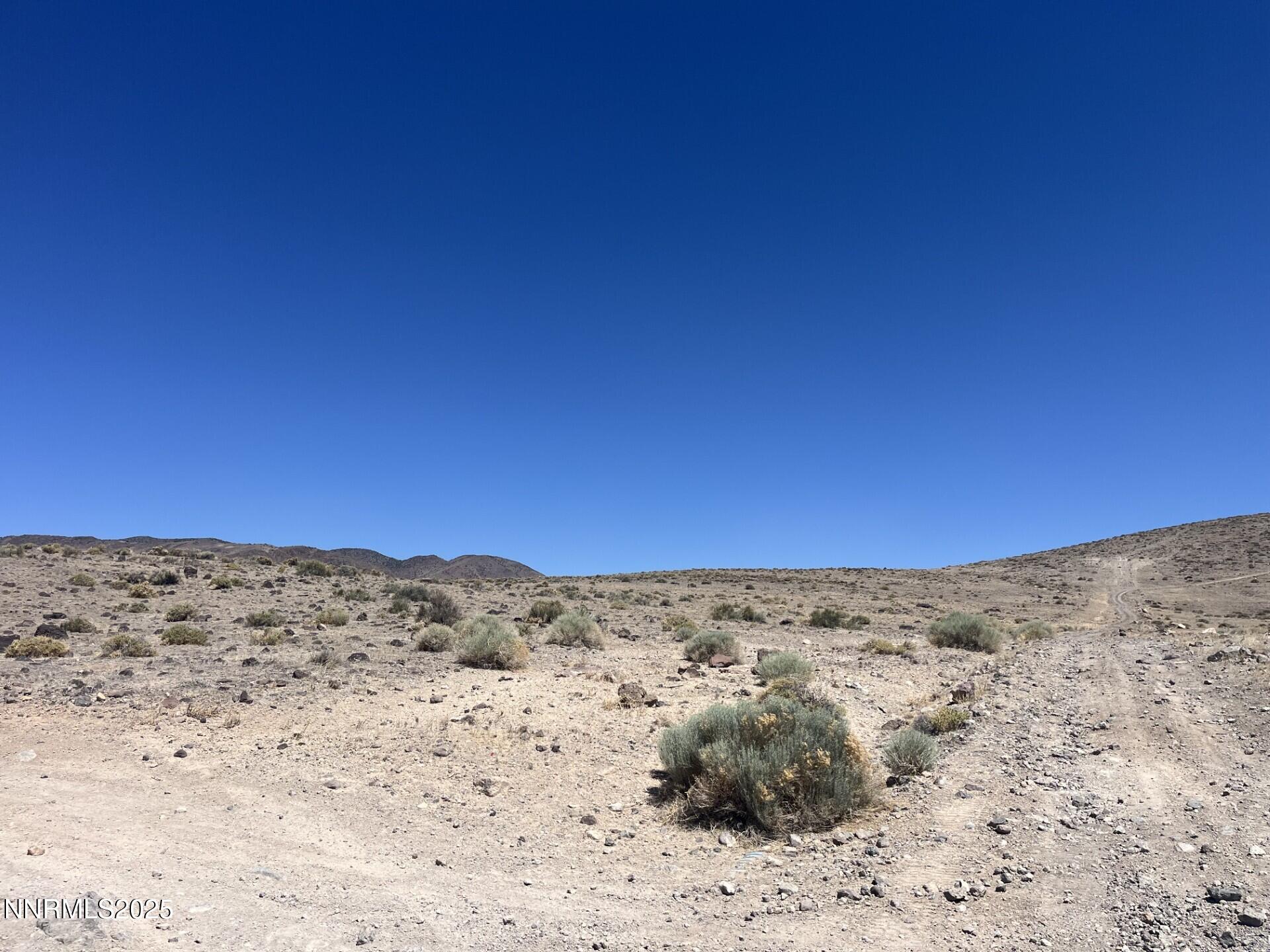 a view of a dry field with a snow in the background
