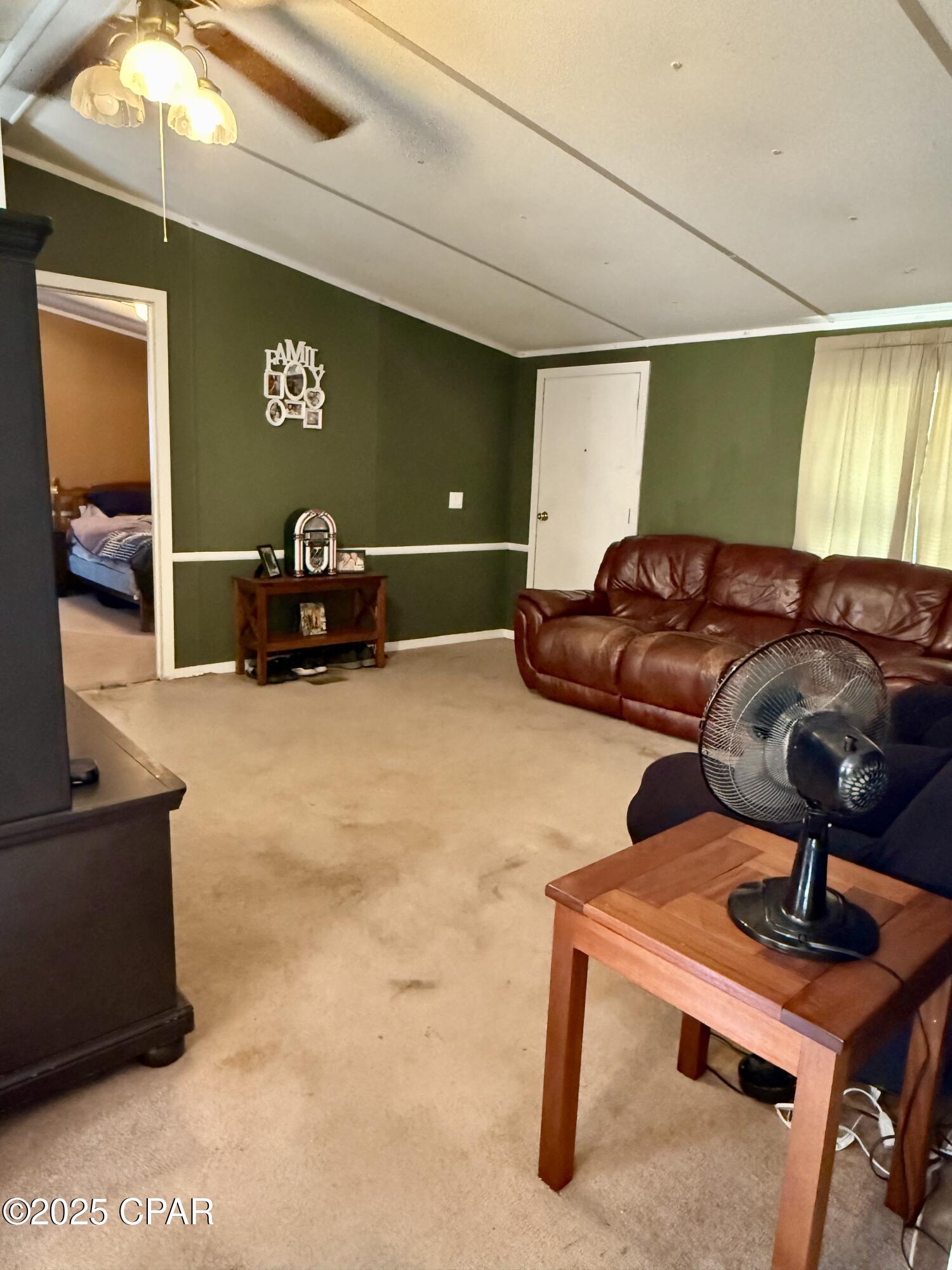 738 Bryant Landing Road Wewahitchka, FL 32465 - Photo 2 of 22