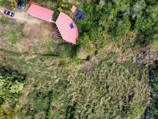 a view of a bird bath room