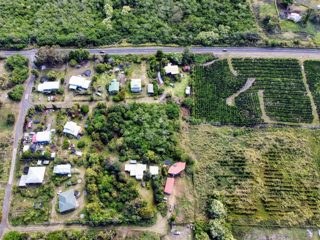 a picture of flowers