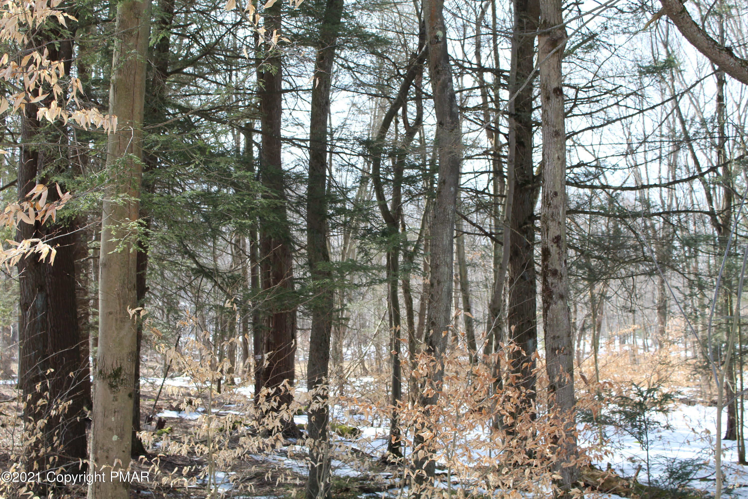 35 Lidio Road Blakeslee, PA 18610 - Photo 3 of 5 a view of outdoor space with lots of trees