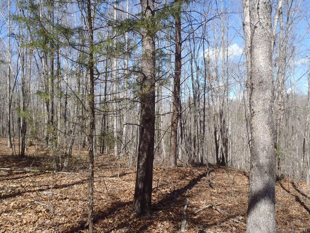 Lot # Boy Scout Road, Unit 16 Union Mills, NC 28167 - Photo 2 of 13 Gallery Image 2