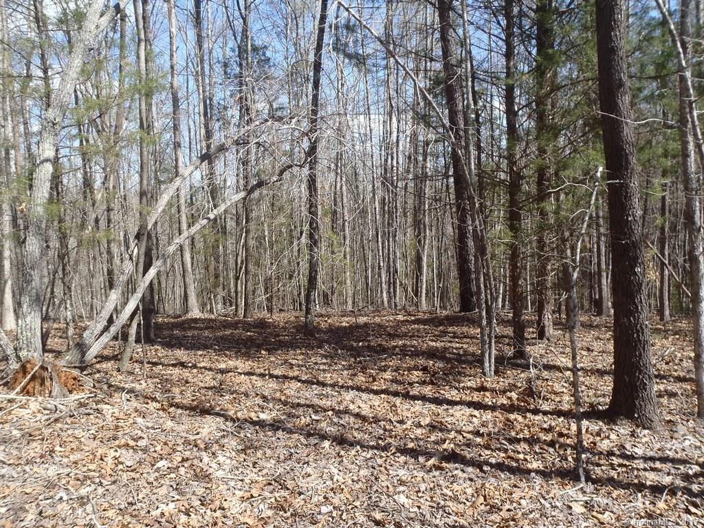 Lot # Boy Scout Road, Unit 16 Union Mills, NC 28167 - Photo 11 of 13 Gallery Image 11