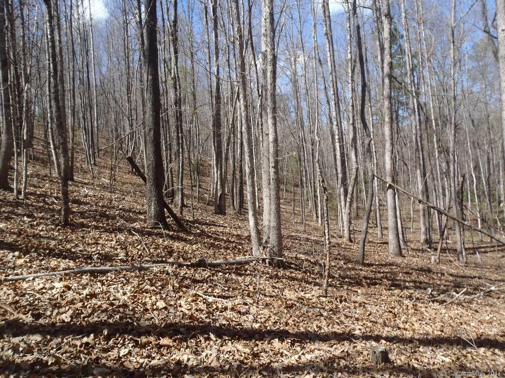 Lot # Boy Scout Road, Unit 16 Union Mills, NC 28167 - Photo 3 of 13 Gallery Image 3