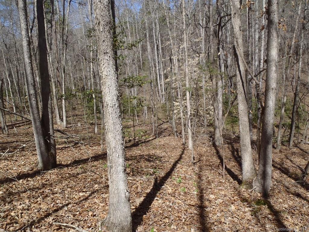 Lot # Boy Scout Road, Unit 16 Union Mills, NC 28167 - Photo 4 of 13 Gallery Image 4