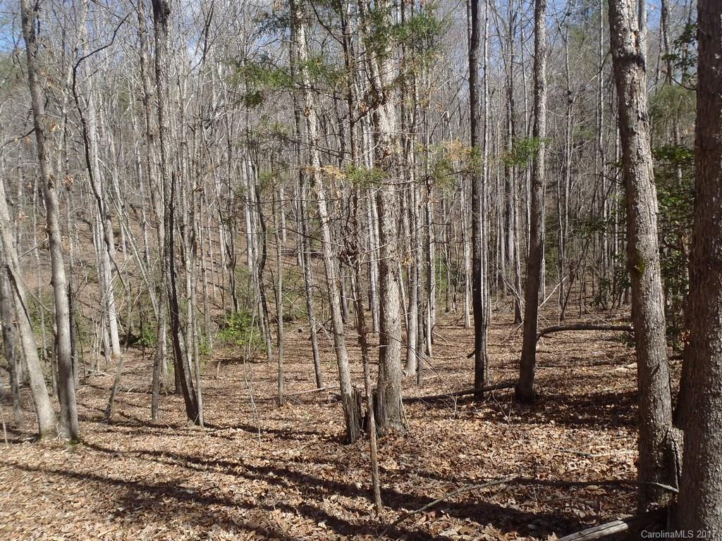 Lot # Boy Scout Road, Unit 16 Union Mills, NC 28167 - Photo 5 of 13 Gallery Image 5