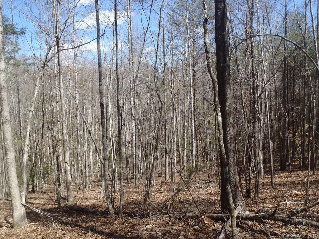 Lot # Boy Scout Road, Unit 16 Union Mills, NC 28167 - Photo 6 of 13 Gallery Image 6