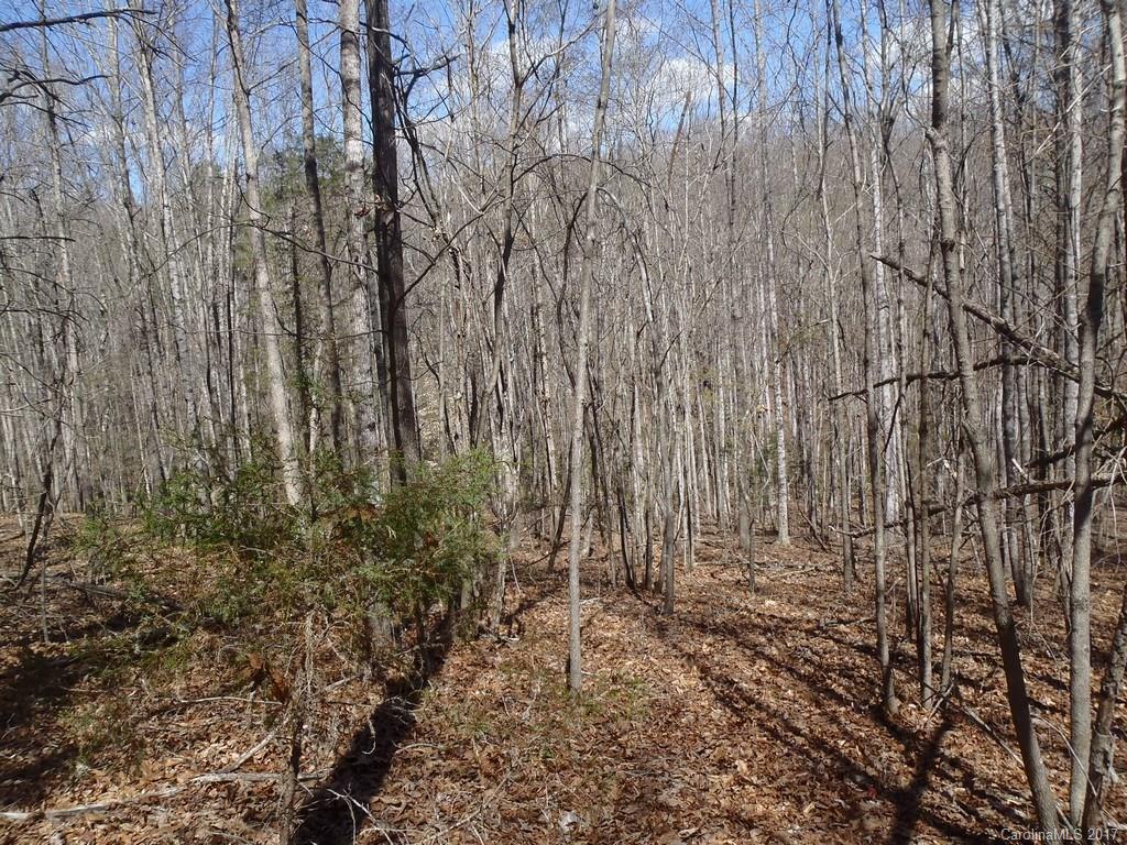 Lot # Boy Scout Road, Unit 16 Union Mills, NC 28167 - Photo 7 of 13 Gallery Image 7