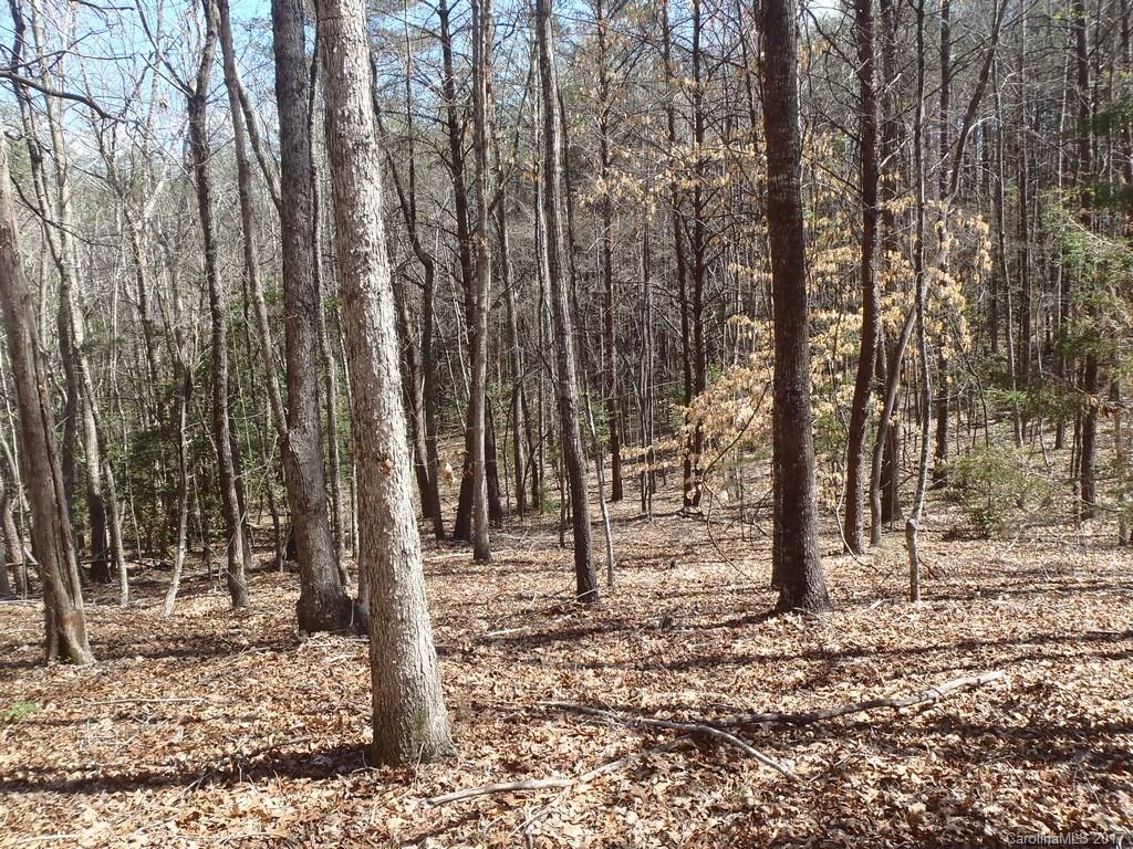 Lot # Boy Scout Road, Unit 16 Union Mills, NC 28167 - Photo 8 of 13 Gallery Image 8